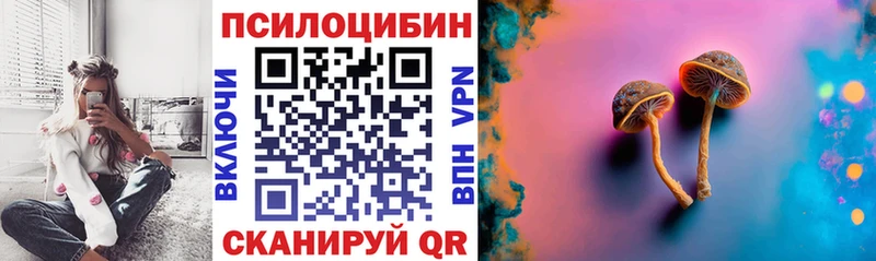 Галлюциногенные грибы Psilocybine cubensis  купить  сайты  Цоци-Юрт 